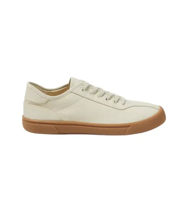 The Row Canvas sneakers