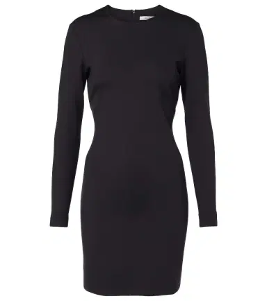 Max Mara Bartolo minidress | Thumbnail 1