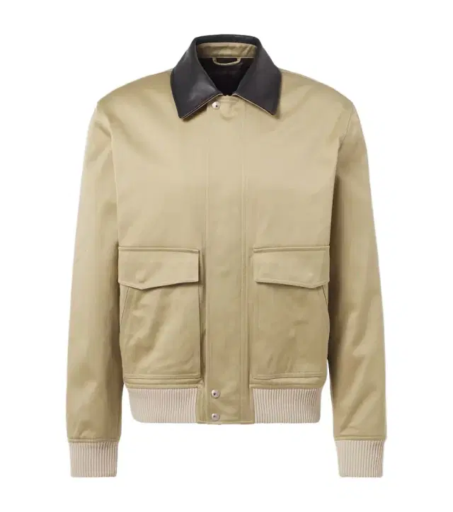 Wales Bonner Shade cotton sateen blouson
