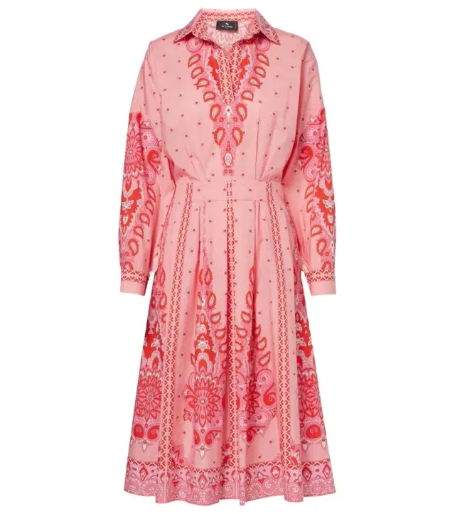 Etro Printed cotton-blend midi dress