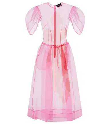 Simone Rocha Printed organza midi dress | Thumbnail 1