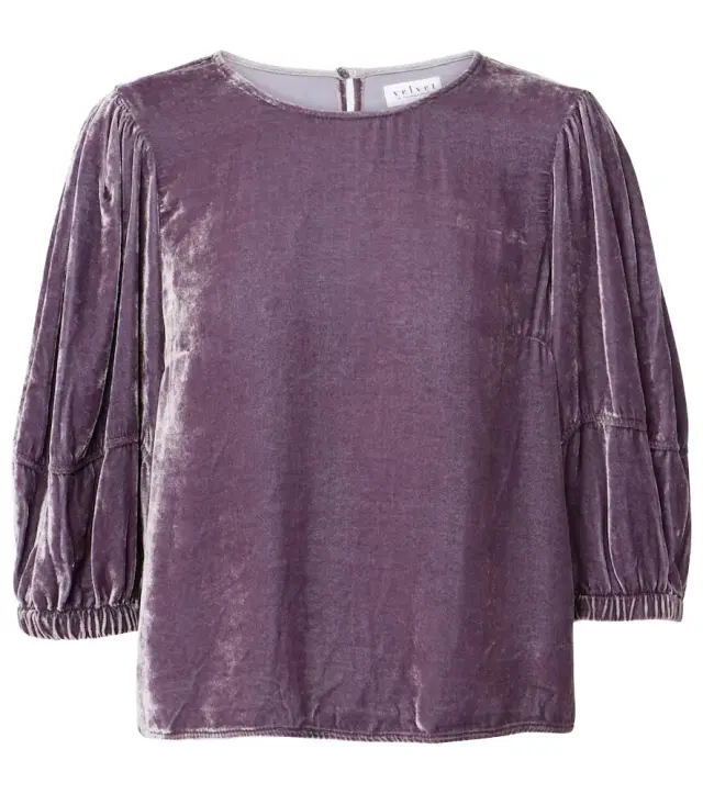 Velvet Nancy velvet top