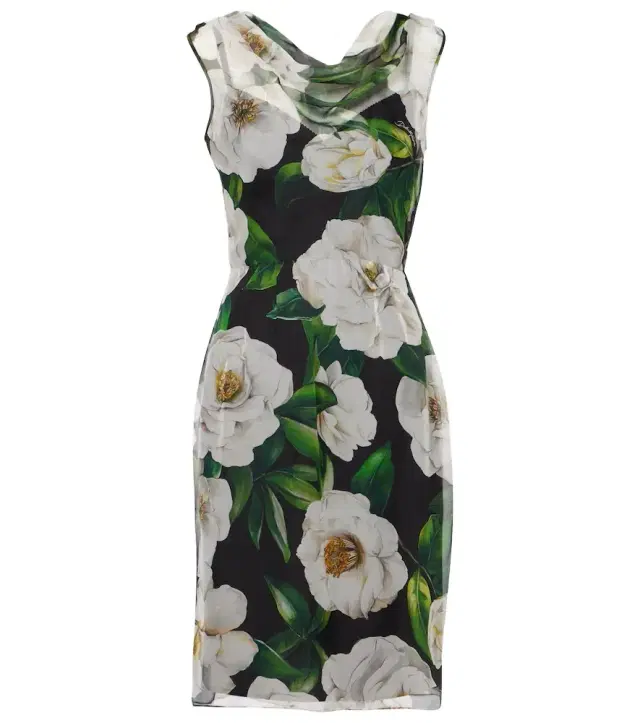 Dolce & Gabbana Floral silk chiffon cocktail dress