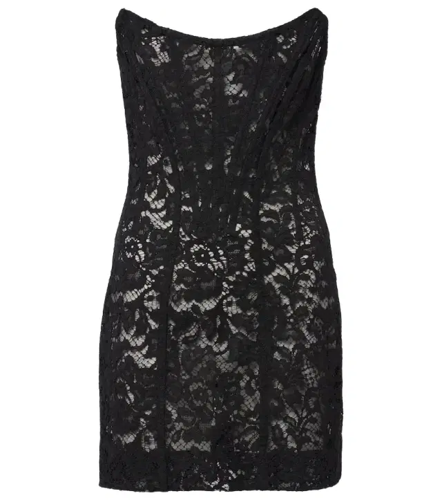 Dolce & Gabbana Floral cotton-blend lace minidress