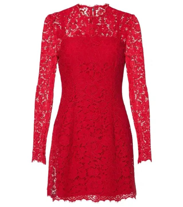 Dolce & Gabbana Cotton-blend lace minidress