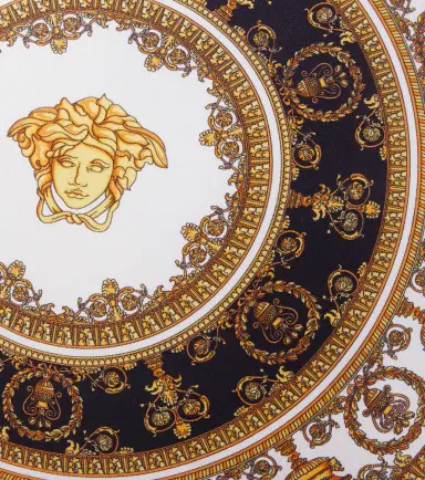 Versace Home Fringed silk and cotton cushion | Thumbnail 2