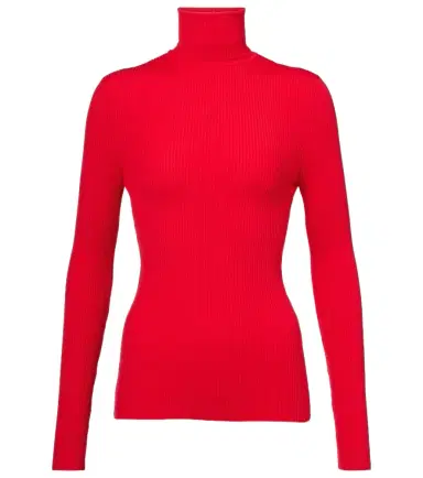 Wolford Ribbed-knit turtleneck | Thumbnail 1