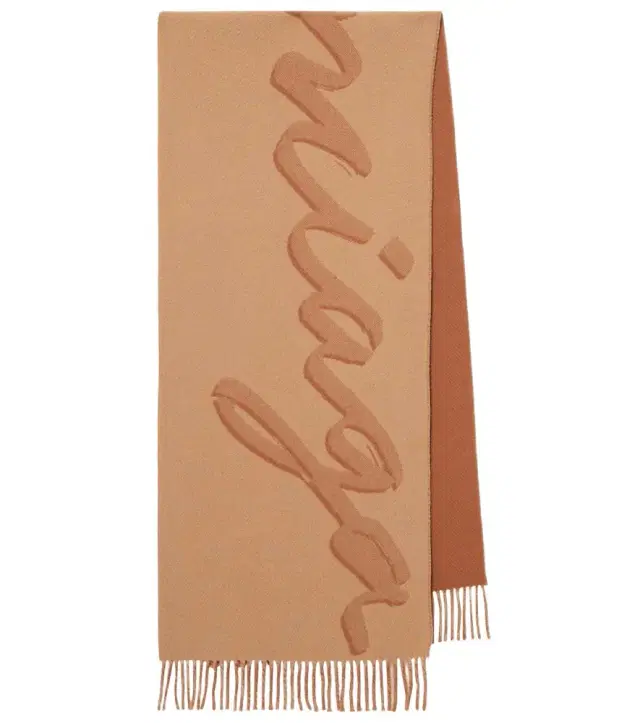 Balenciaga Wool and cashmere scarf