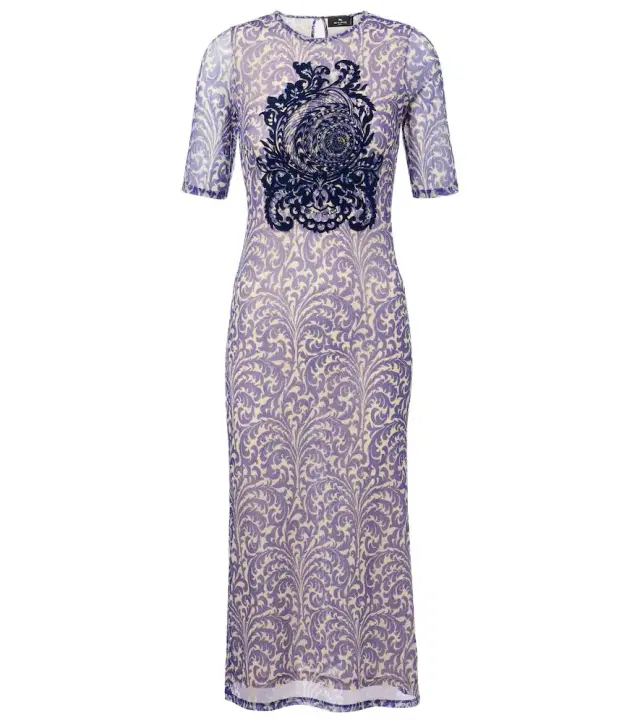 Etro Printed mesh midi dress