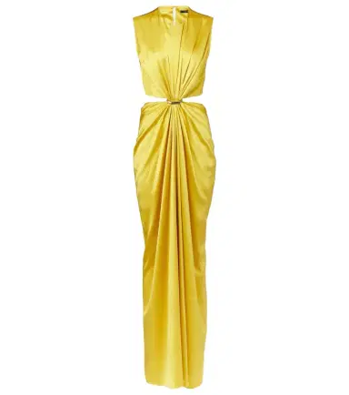 Max Mara Panaro draped cutout silk maxi dress | Thumbnail 1