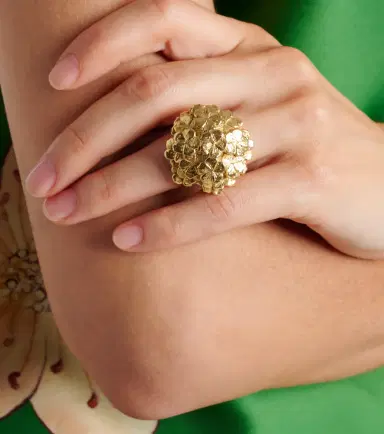 ALÉMAIS Alémais Team Spirit gold-plated ring | Thumbnail 5