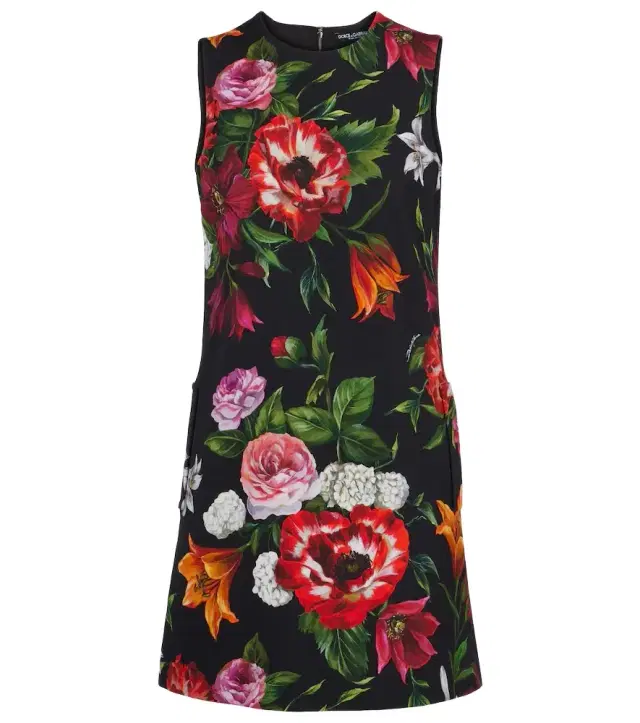 Dolce & Gabbana Floral minidress