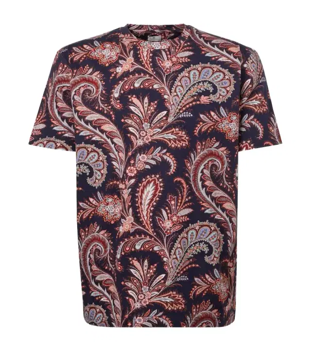 Etro Paisley cotton jersey T-shirt