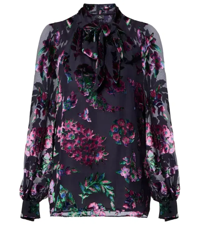 Etro Printed tie-neck blouse
