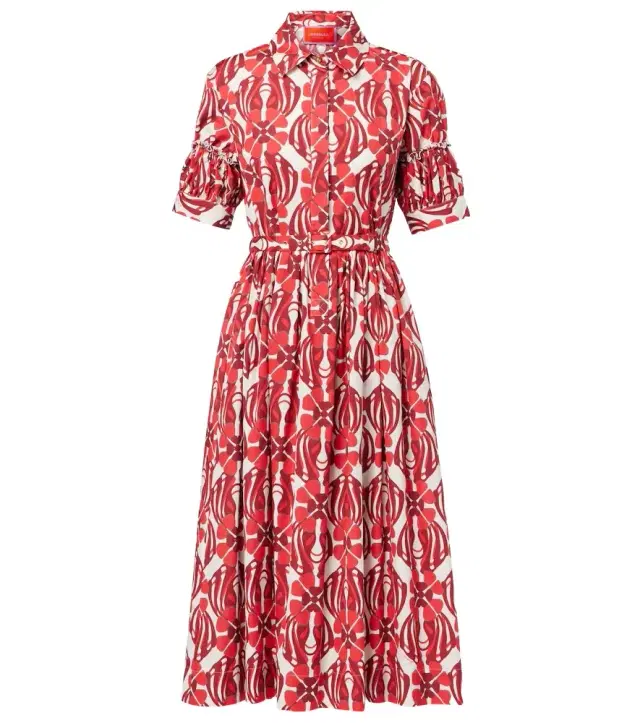 La DoubleJ Libertine printed cotton shirt dress