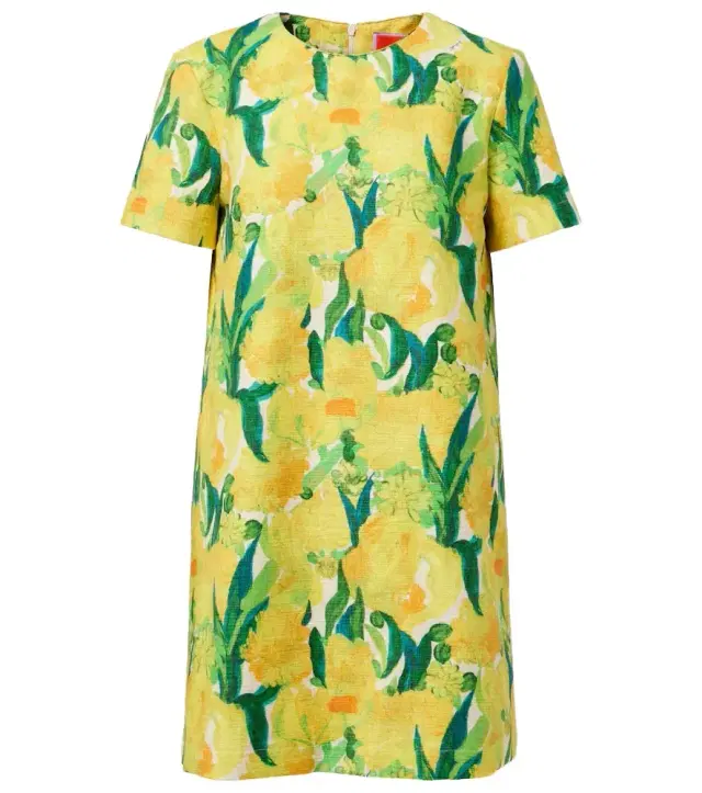 La DoubleJ Swing printed cotton minidress
