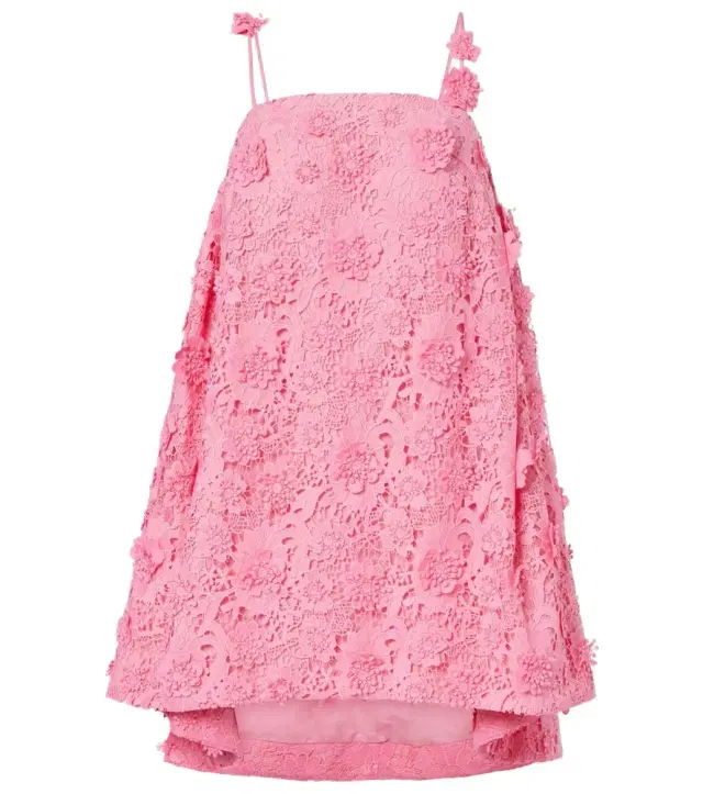 Fifi floral lace minidress