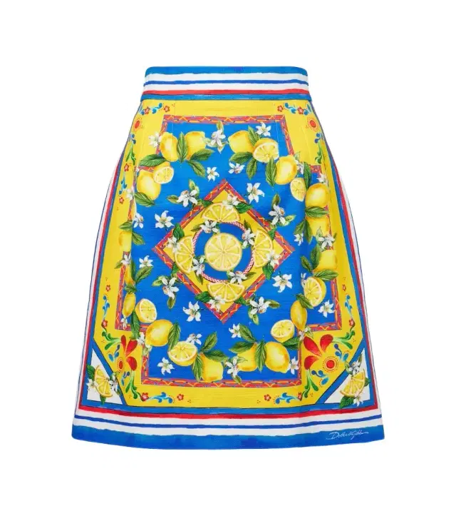 Dolce & Gabbana Printed cotton-blend miniskirt