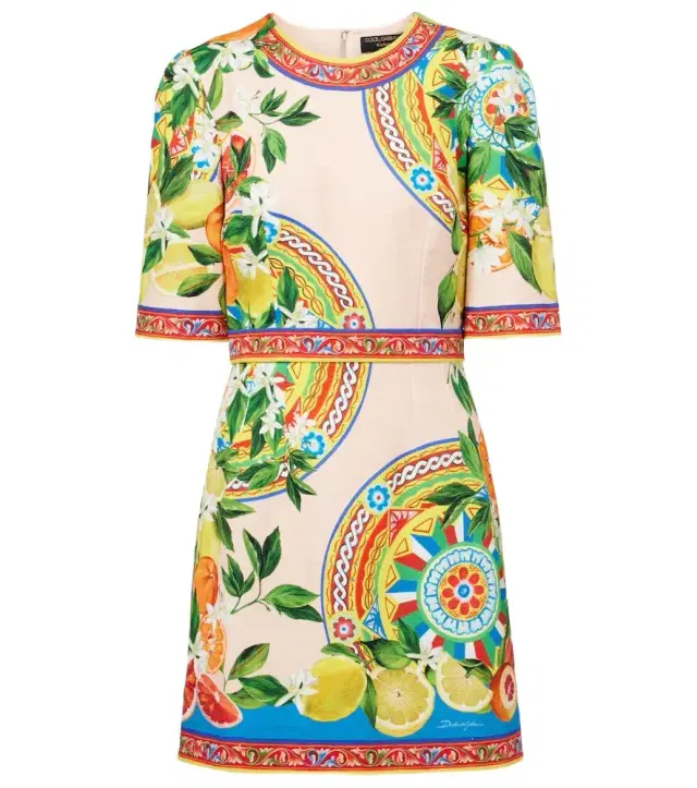 Dolce & Gabbana Printed cotton-blend minidress