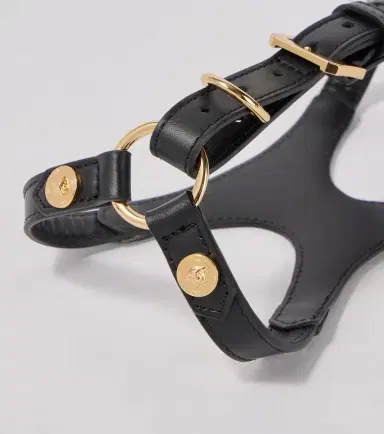 Versace Home Leather dog harness | Thumbnail 2