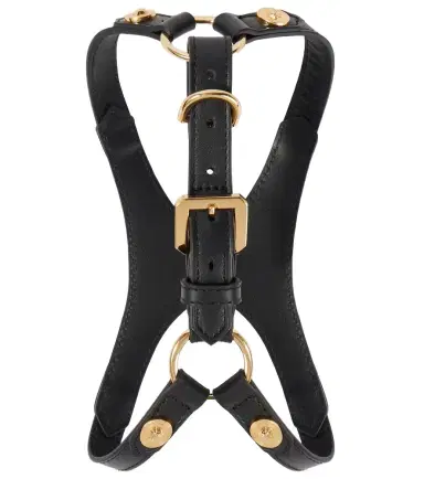 Versace Home Leather dog harness | Thumbnail 1