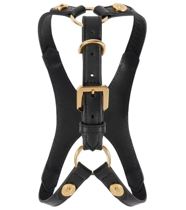 Versace Home Leather dog harness