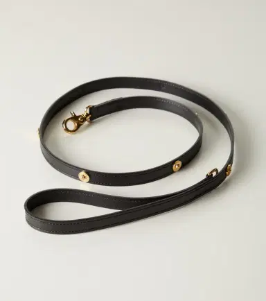 Versace Home Leather dog leash | Thumbnail 3