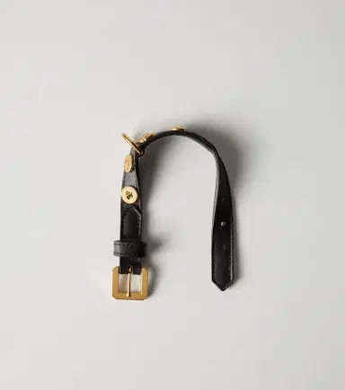 Versace Home Icon Small leather pet collar | Thumbnail 2