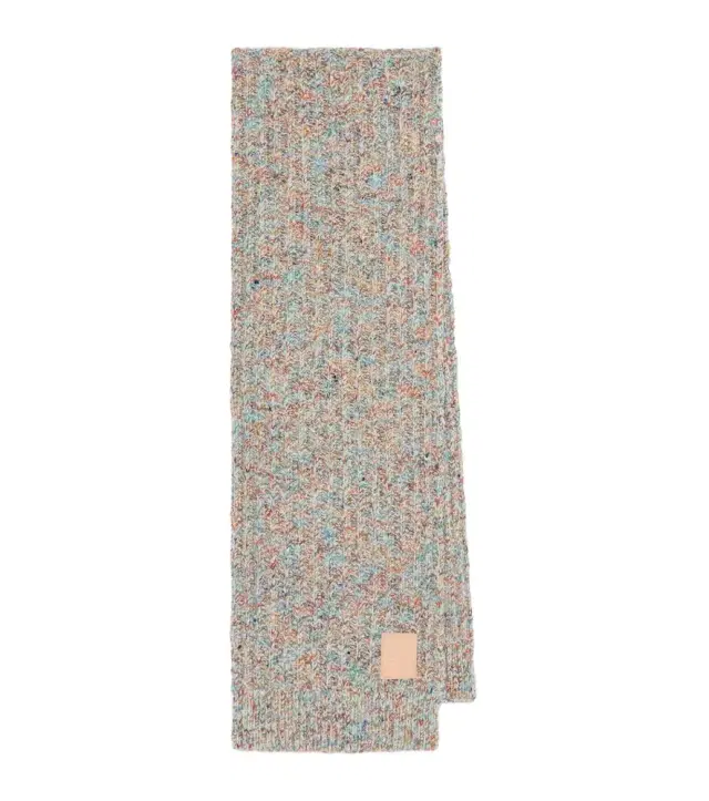 Loewe Wool and cashmere-blend scarf