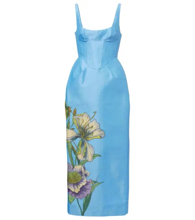 Alemais Alémais Donata floral taffeta bustier dress