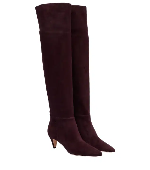 Gianvito Rossi Elise suede knee-high boots
