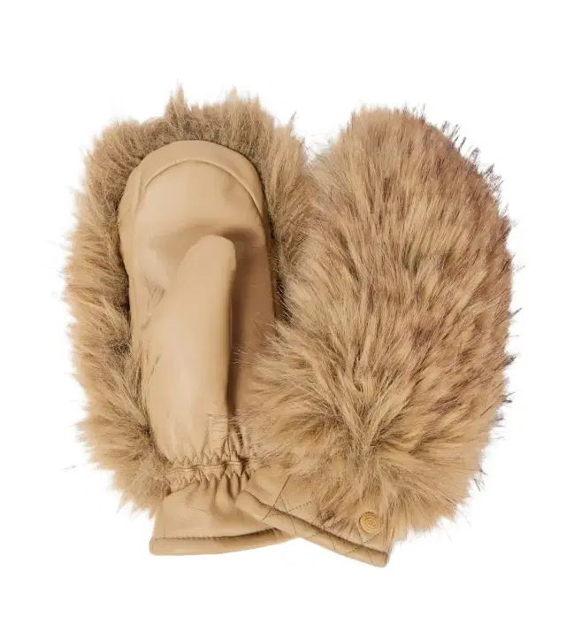 Goldbergh Hill leather ski mittens