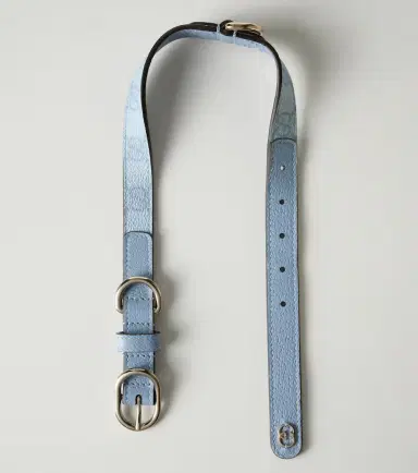 Gucci GG leather-trimmed dog collar | Thumbnail 2