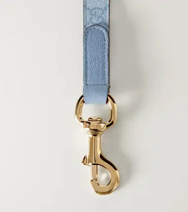 Gucci GG S/M leash | Thumbnail 3