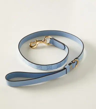 Gucci GG S/M leash | Thumbnail 4