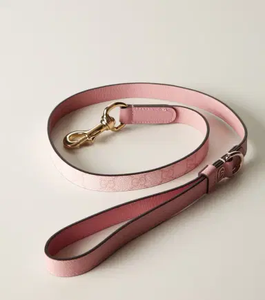 Gucci GG leather-trimmed dog leash | Thumbnail 4