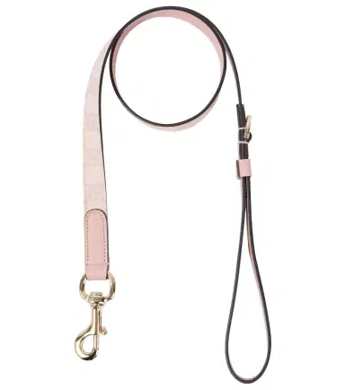 Gucci GG leather-trimmed dog leash | Thumbnail 1