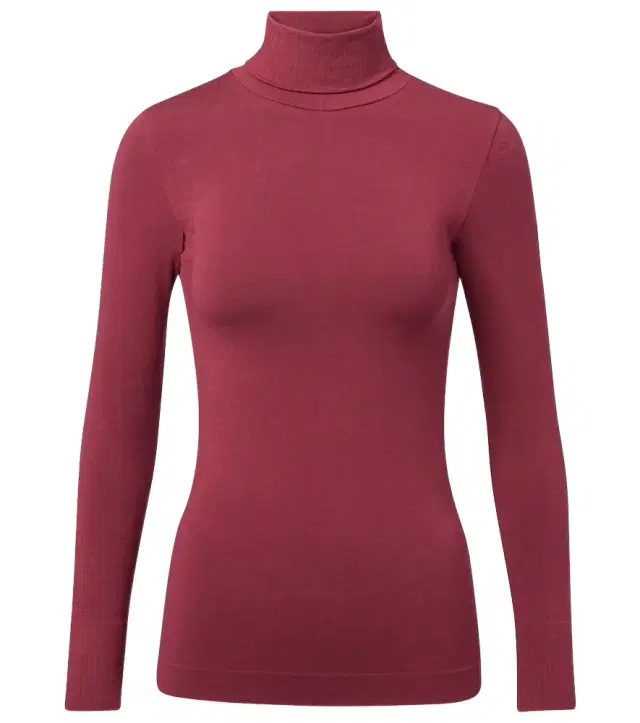 Fusalp Alisier technical turtleneck sweater