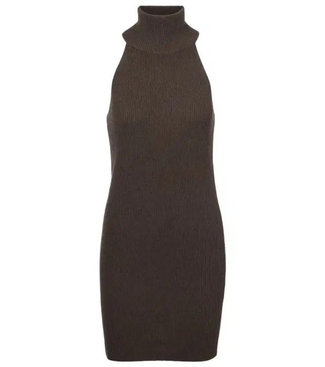 Lisa Yang Lisa cashmere turtleneck minidress