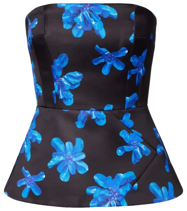 Emilia Wickstead Regan floral genzianella tube top