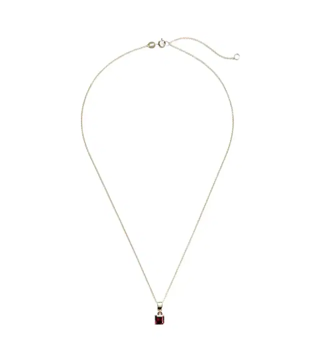 Stone and Strand 10kt gold charm necklace with garnet