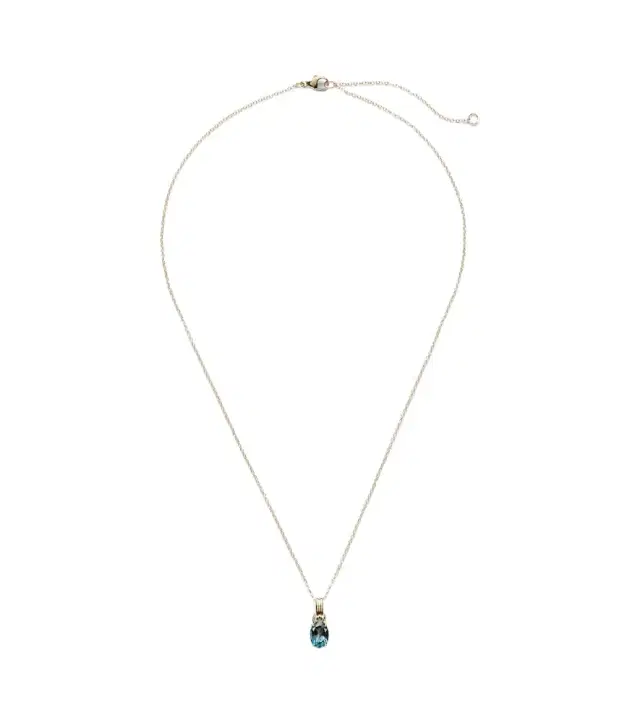 Stone and Strand Serenity 14kt gold charm necklace with spinel