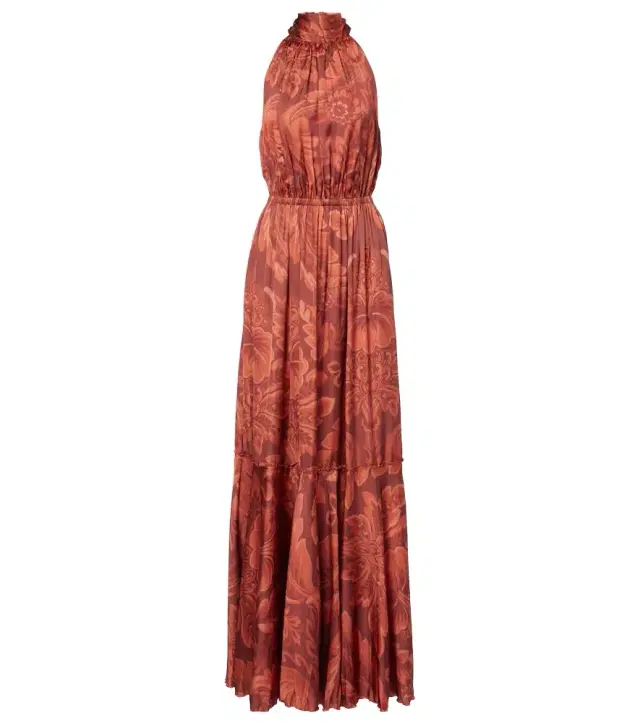 Etro Printed maxi dress