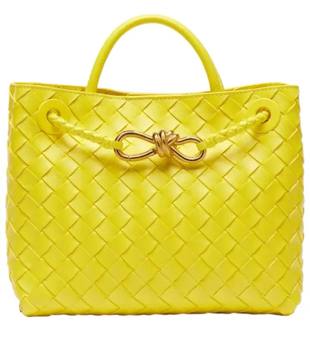Bottega Veneta Andiamo Small leather tote bag