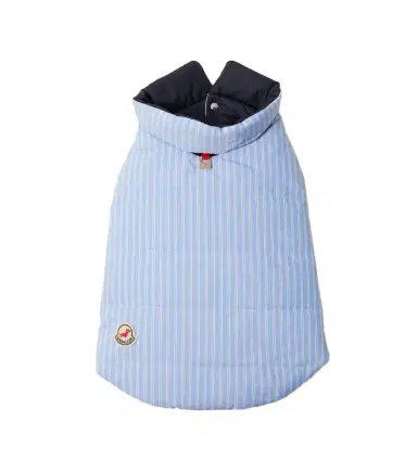 Moncler Poldo Dog Couture striped dog coat | Thumbnail 1