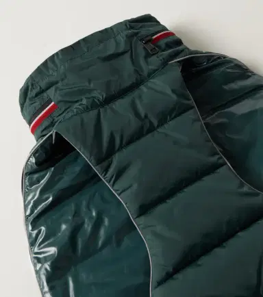 Moncler Poldo Dog Couture dog coat | Thumbnail 2