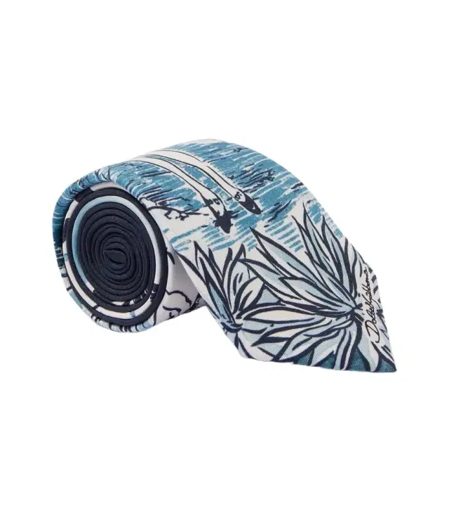 Dolce & Gabbana Printed silk twill tie