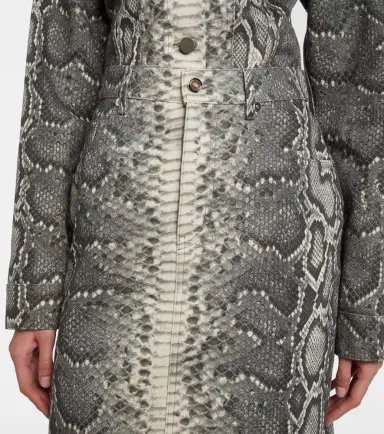 Gabriela Hearst Adelaide snake-print cotton midi skirt | Thumbnail 2