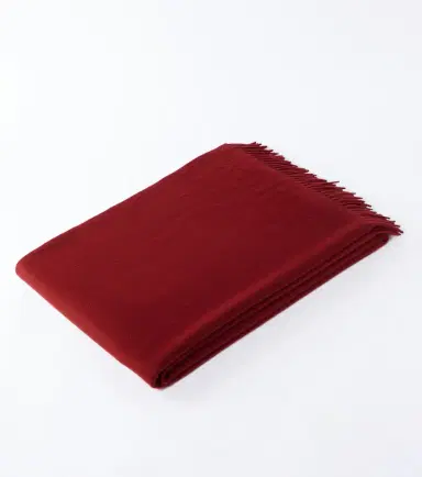 Loro Piana Unito cashmere blanket | Thumbnail 5