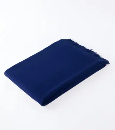 Loro Piana Unito cashmere blanket | Thumbnail 4